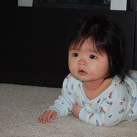 lilasianfellow