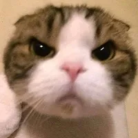 original sound - ehrecords813