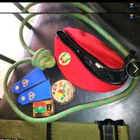 koba5790507819943