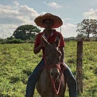 gabrieladossantosolivei5