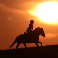 equestrian.aliina