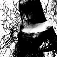 original sound - nsvert