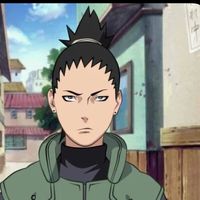 user2828283838373737