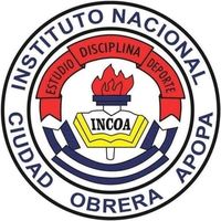incoa11329oficial