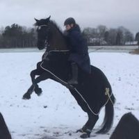 equi.pon