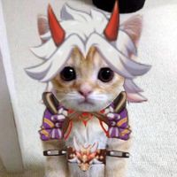 pareo.esquisofrenico