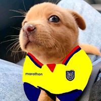 latriiifutbol1