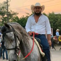 jawi__picado