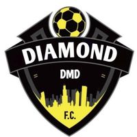 diamonacademy1