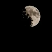 original sound - soulinpoemz