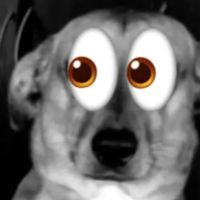 sonido original - Luisarvoid