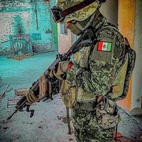 fuerzasarmadas4