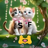 shazyniazi