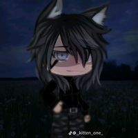 max_16xxx