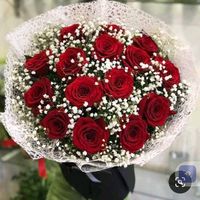 halil.mustafa8
