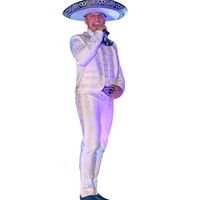 mariachi.elreyaventurero