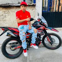 emiliano_fox1