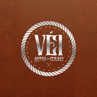 vei_artes_em_couro
