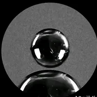 original sound - badposh