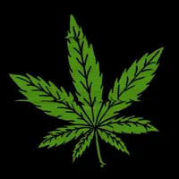 original sound - 11_40.pm