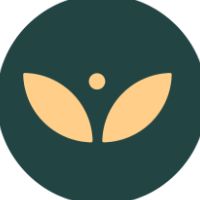 original sound - Wellness Winners