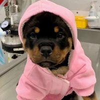 cuteraspberrygirl4862