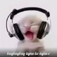 оригинальный звук