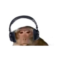 ur_.fav.monkey