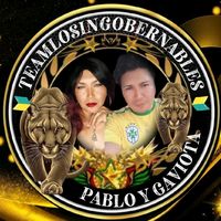pabloygaviota4