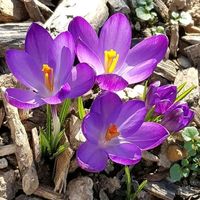 alma.leticia8