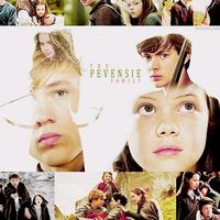 narnia.version