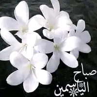 original sound - ngah20005