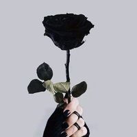 suara asli - Rinn🥶