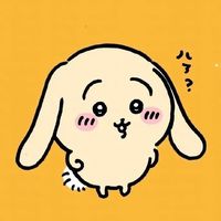 max_z2511