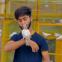 rajaabdullah001