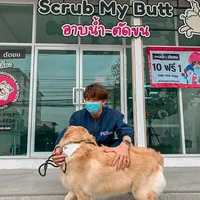 original sound - c.bankphan