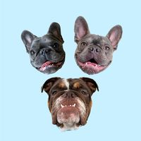 kobemilli_thefrenchie