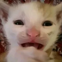 original sound - iokc84