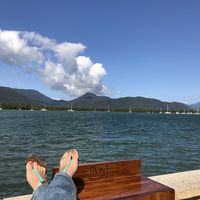 splendiferousdesigns