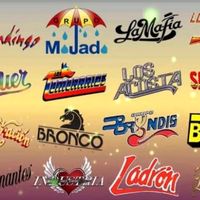 puramusica.grupera