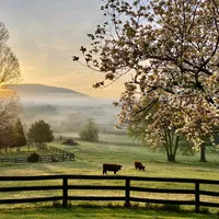 original sound - musictothysoul