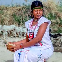 raafa.tour