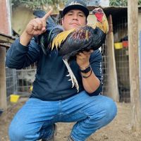 hoodfarmzcorporation