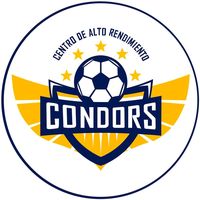 car_condors