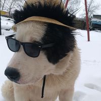 оригинальный звук