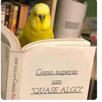 original sound - _memes_20220