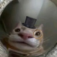 thefoolisyourpepe