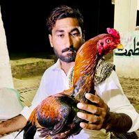 bhakkar_wala_75