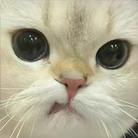 原聲