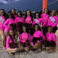 thepinkdiamondsoffical_